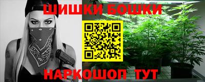 мдпв Кингисепп