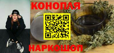 мдпв Кингисепп