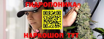 скорость Кинель