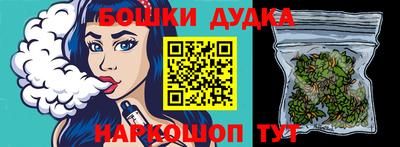 мдпв Кингисепп