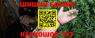 мдпв Кингисепп