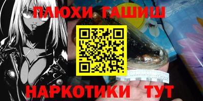 мдпв Кингисепп